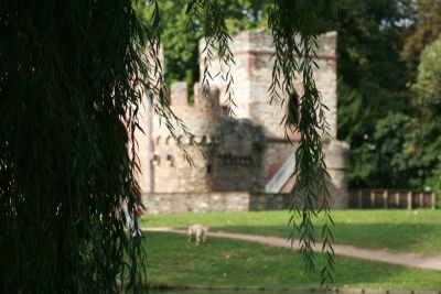 Mosburgfest (28. 08. 2011)