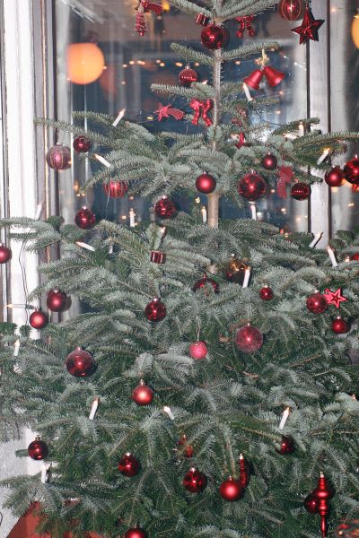 Weihnachtsfeier im Casa Nova (18. 12. 2011), Vol. II - cam II