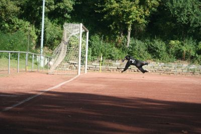 Ausw&auml;rtsspiel beim FSV Hellas Schierstein
