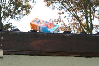 Heimspiel gegen FC Freudenberg